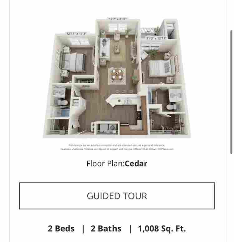 Looking for a roommate! No pets!