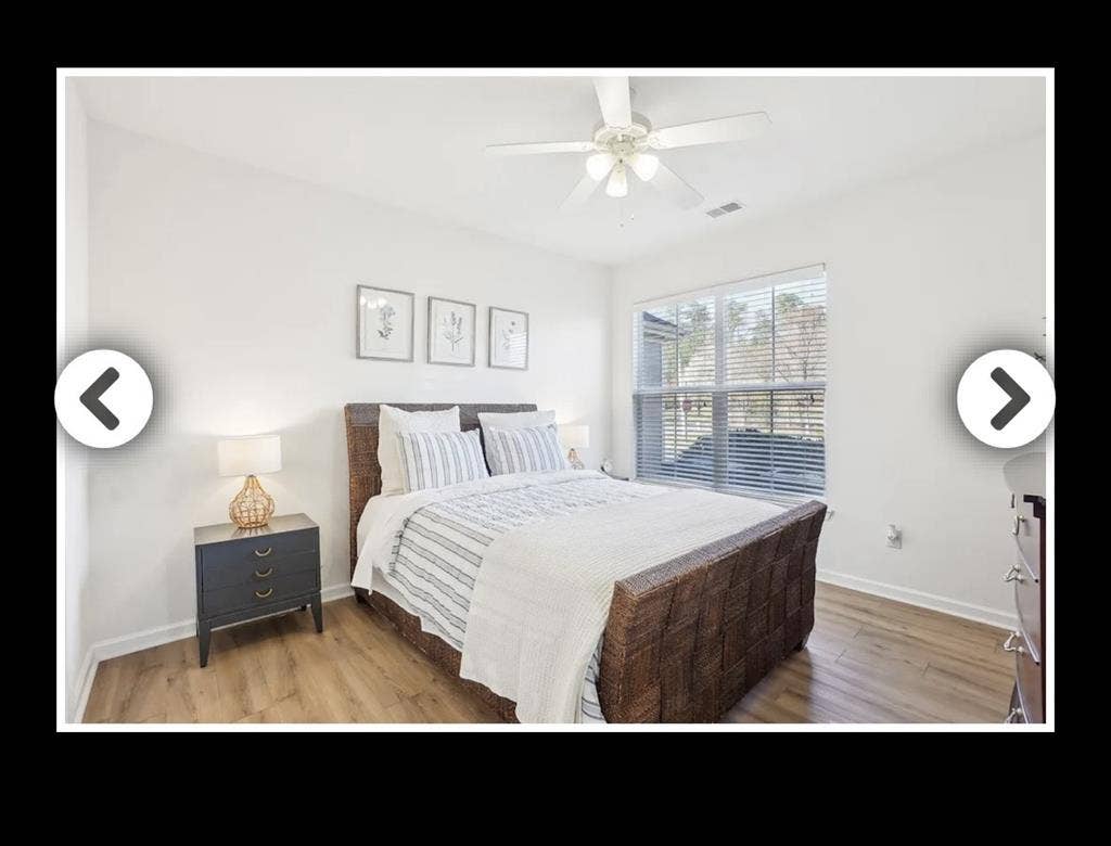 Looking for a roommate! No pets!