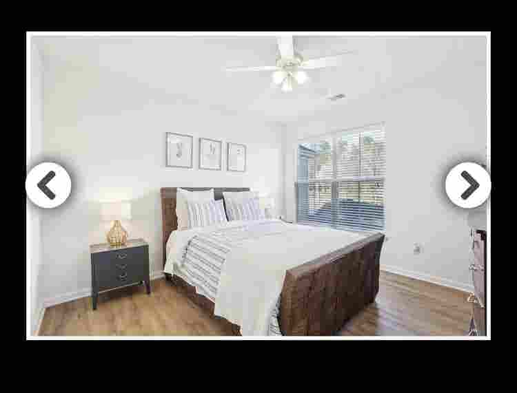 Looking for a roommate! No pets!