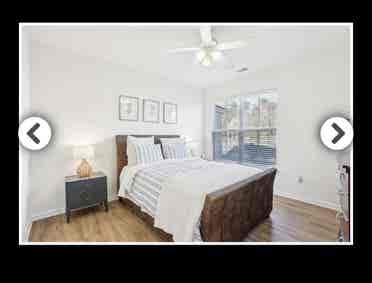 Looking for a roommate! No pets!