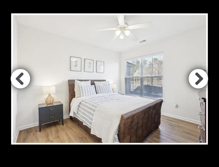 Looking for a roommate! No pets!