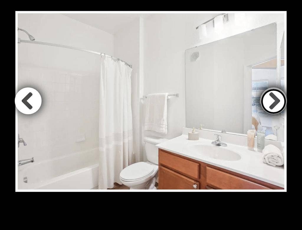 Looking for a roommate! No pets!