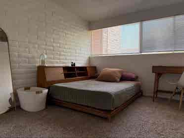 Desert Garden Home - Mid Century