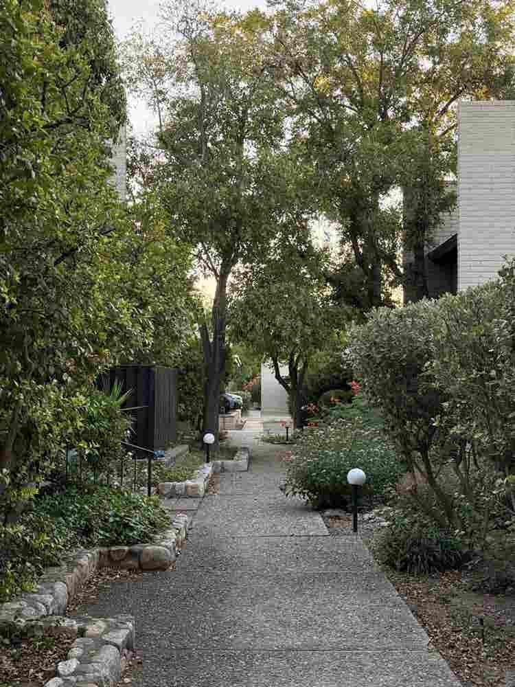 Desert Garden Home - Mid Century