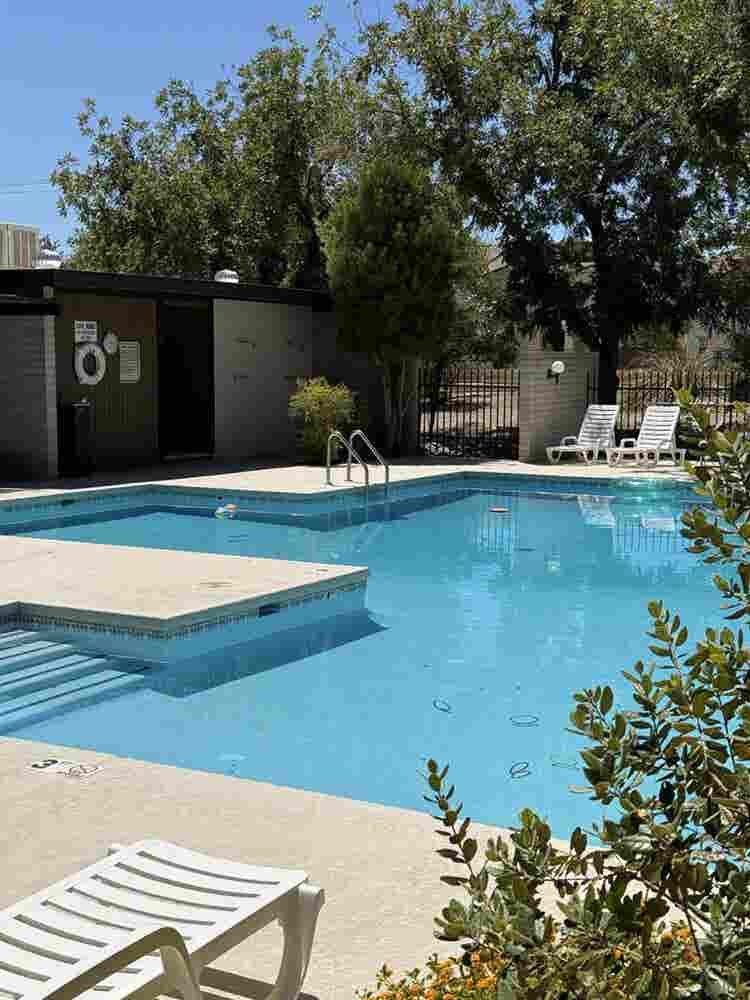 Desert Garden Home - Mid Century