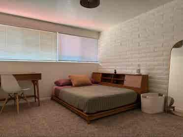 Desert Garden Home - Mid Century