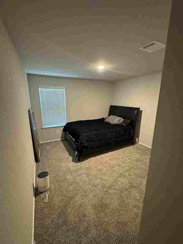 Looking for a roomie