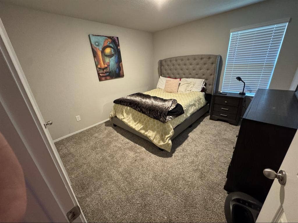 Looking for a roomie