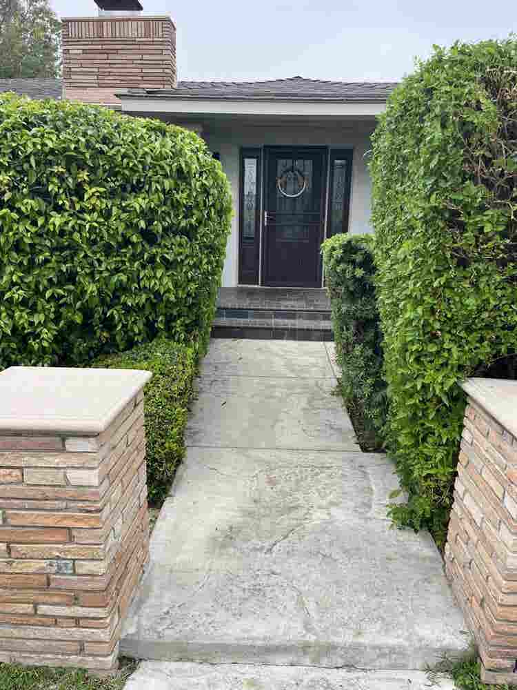 Beautiful bedroom available