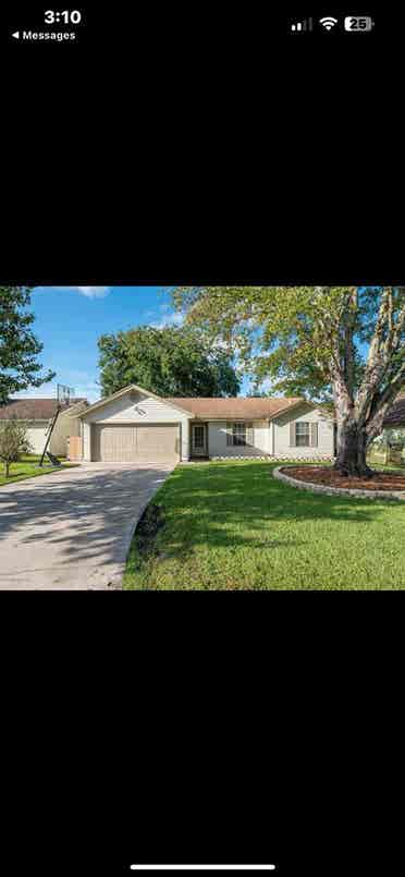 Looking for a roommate