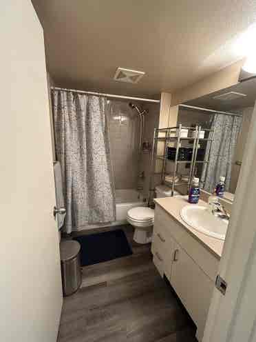 Roommate needed (private bath!)