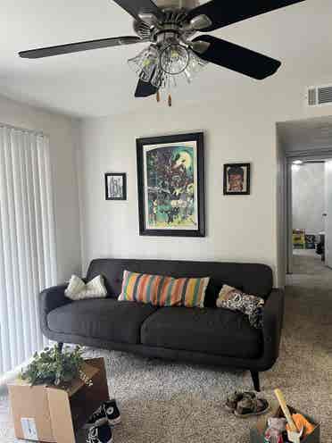 Room for rent in round rock