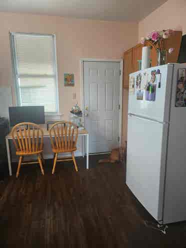 BR Apt- Pilsen- Women Only