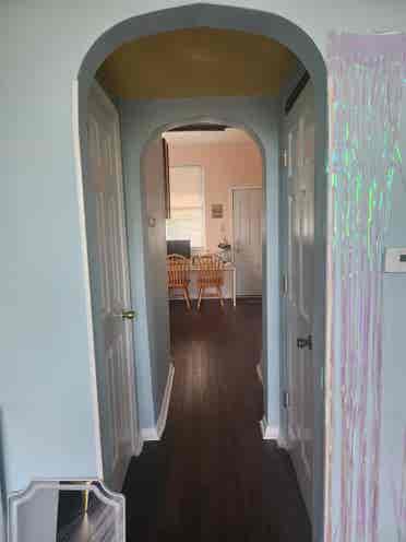 BR Apt- Pilsen- Women Only