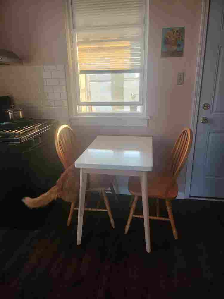 BR Apt- Pilsen- Women Only