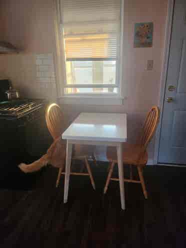BR Apt- Pilsen- Women Only