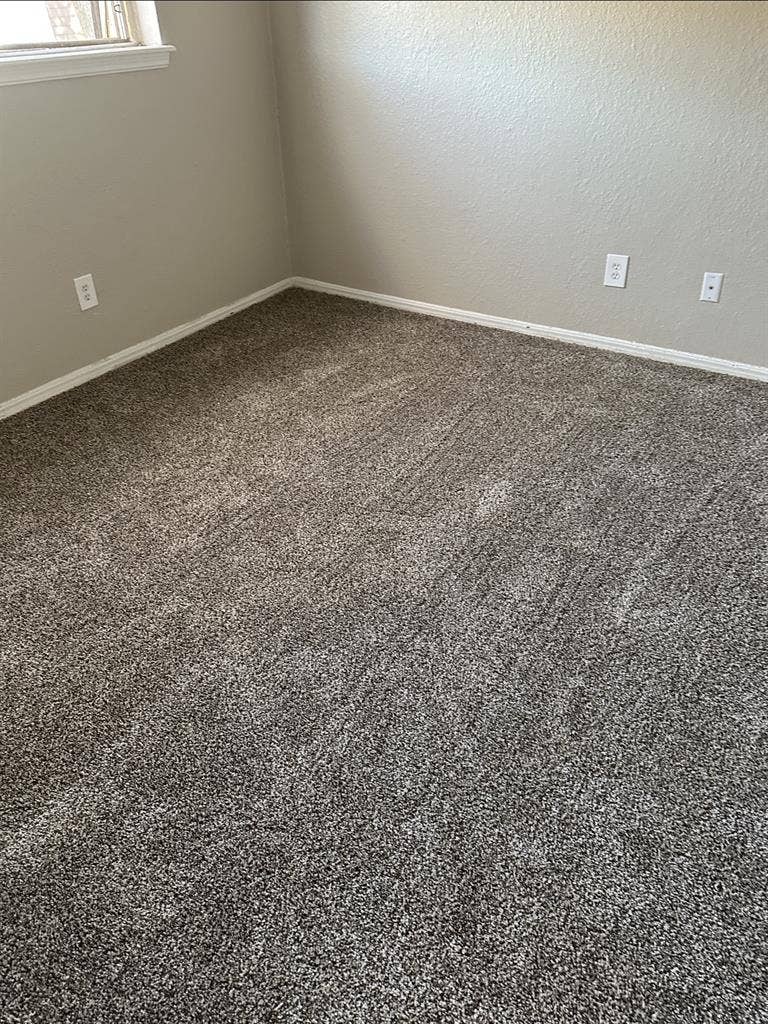 Roommate needed