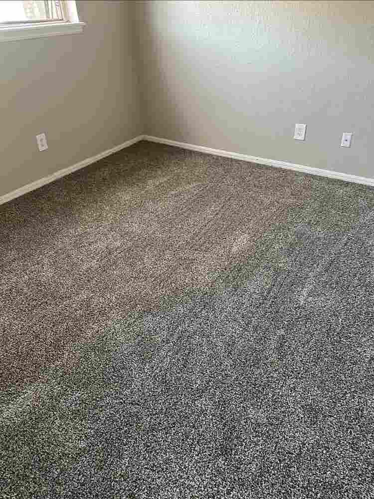 Roommate needed