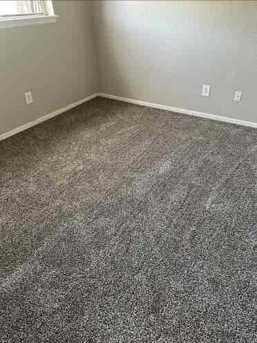 Roommate needed