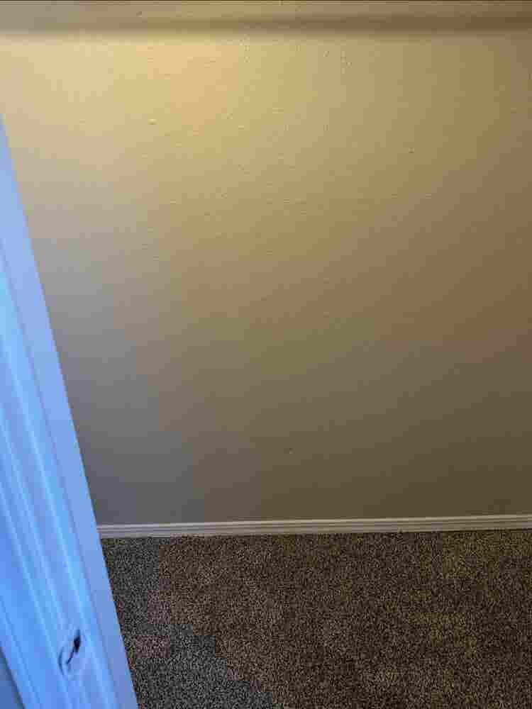 Roommate needed