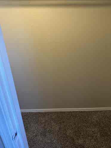 Roommate needed