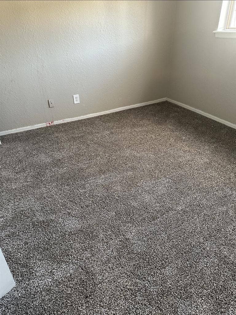 Roommate needed
