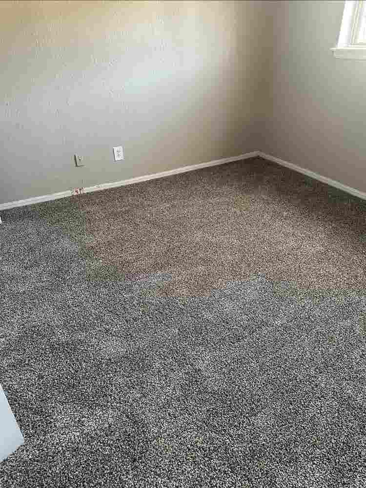 Roommate needed