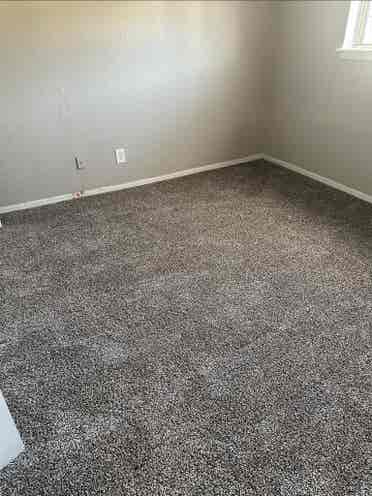 Roommate needed