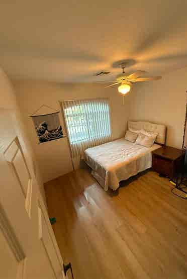 New Listing