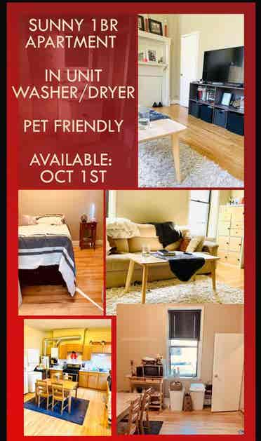 Sunny 1BR Apartment in Hoboken