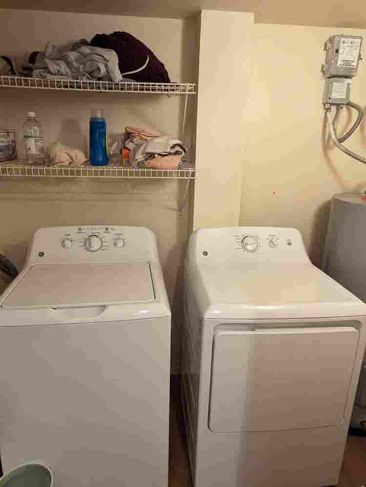 Need a roommate at end of month