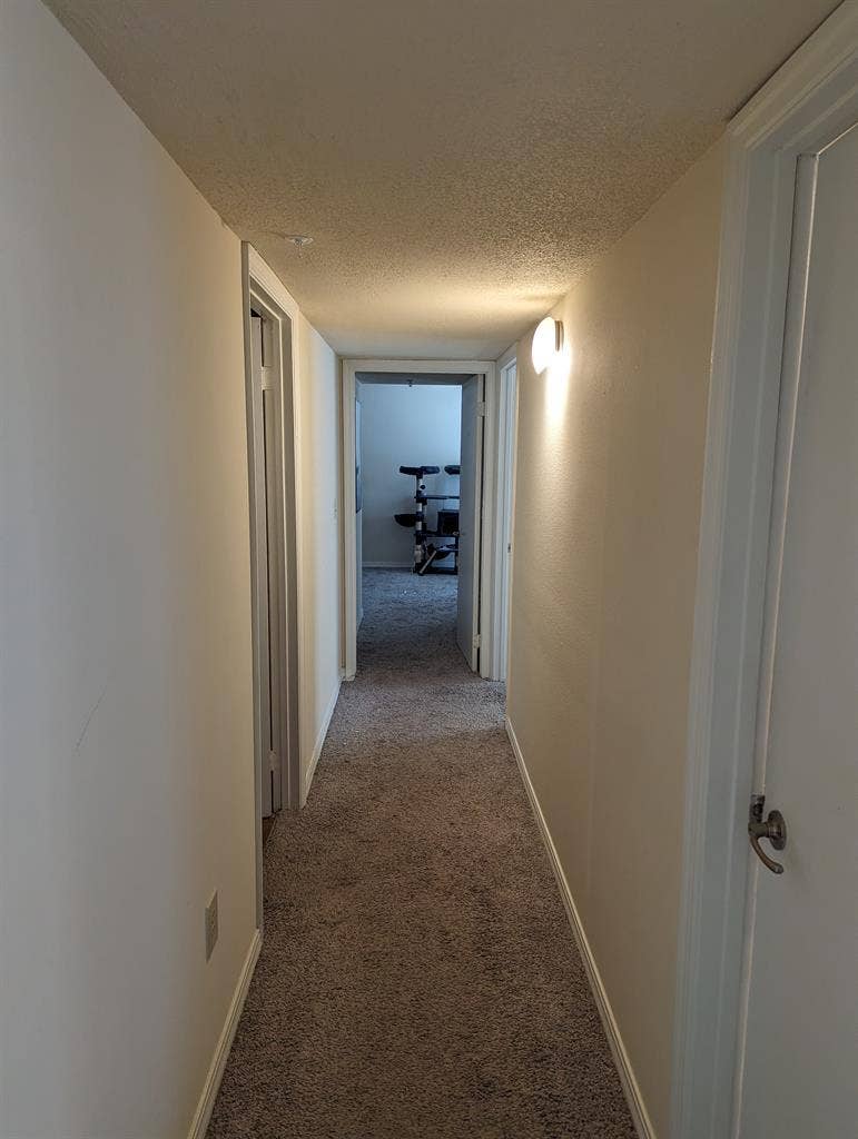 Need a roommate at end of month