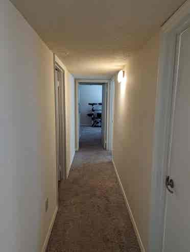 Need a roommate at end of month