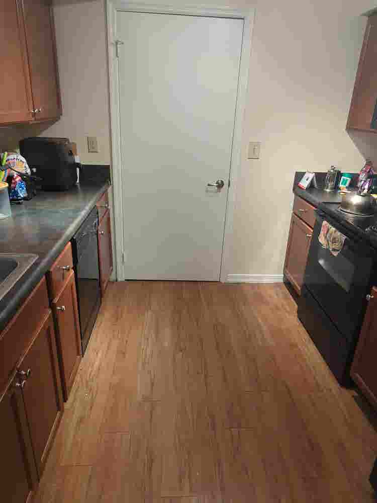 Need a roommate at end of month