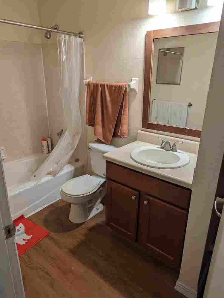 Need a roommate at end of month