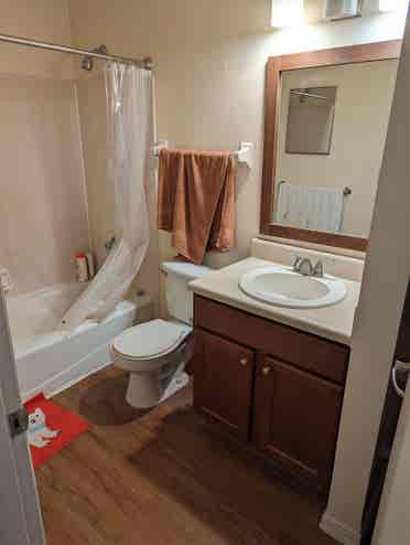 Need a roommate at end of month