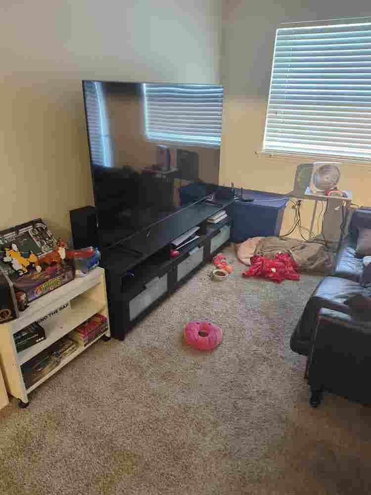 Need a roommate at end of month
