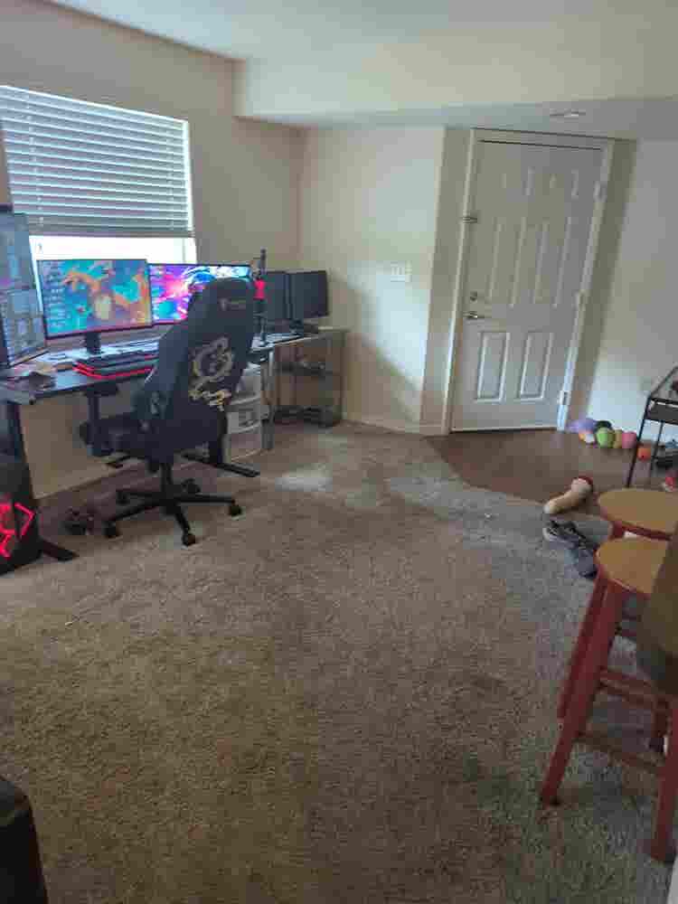 Need a roommate at end of month