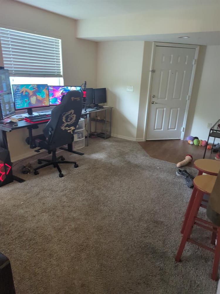Need a roommate at end of month