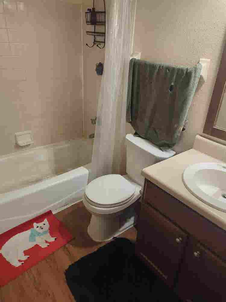 Need a roommate at end of month