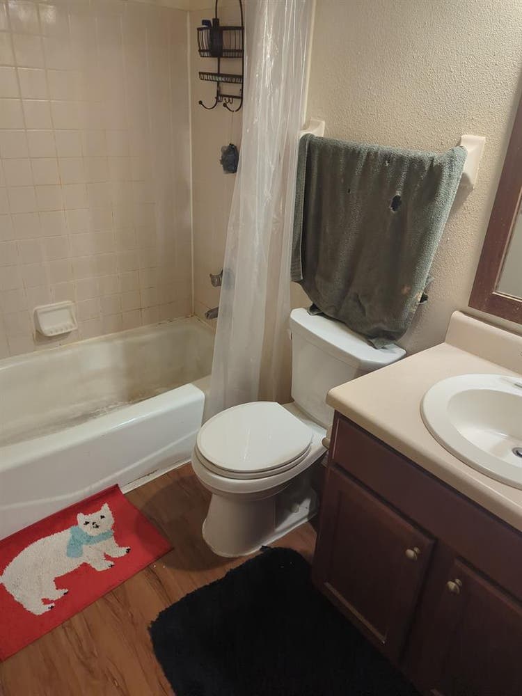Need a roommate at end of month