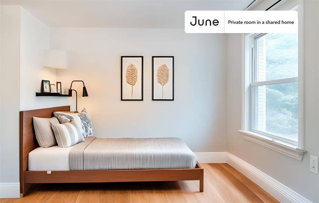 6 BR in Boston