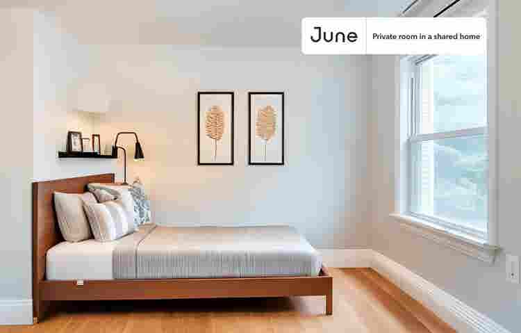 6 BR in Boston