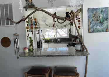 Roommate wanted :)