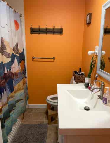 Roommate wanted :)