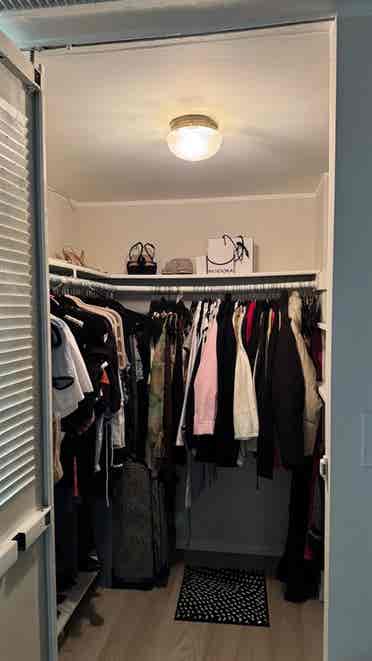 Looking for a roommate
