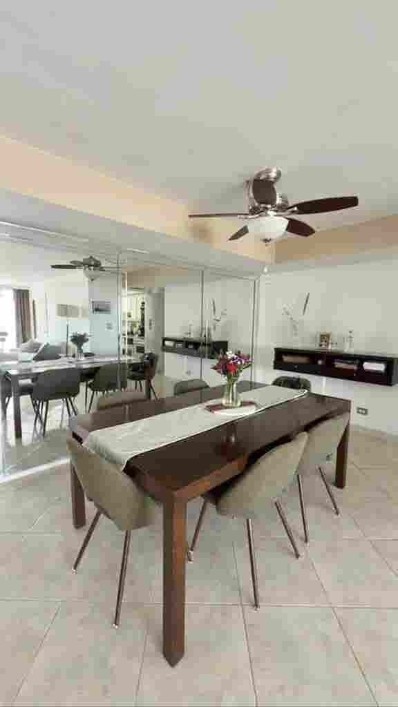 Looking for a roommate