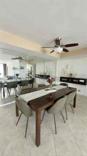 Looking for a roommate