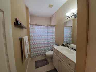 Roommate needed!