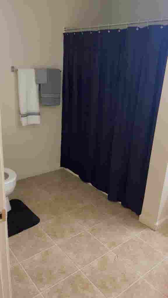 Looking for a roommate!